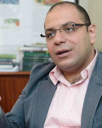Mohamed Arafa, Ph.D.